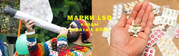 крисы Алексин