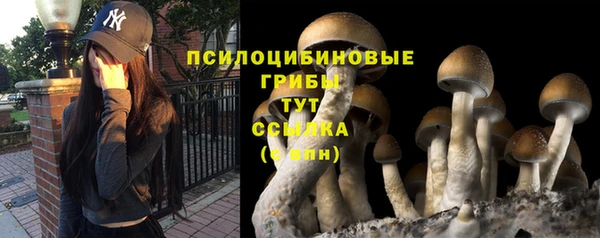 крисы Алексин